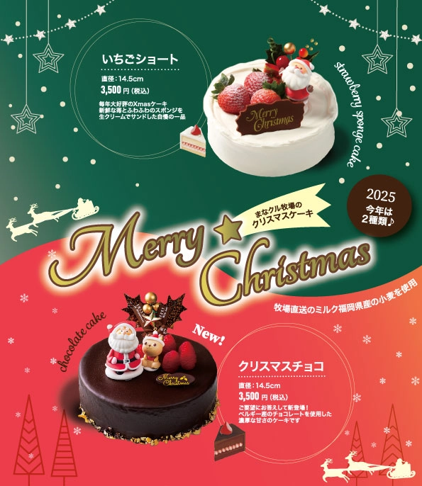 2種のケーキの対比レイアウト