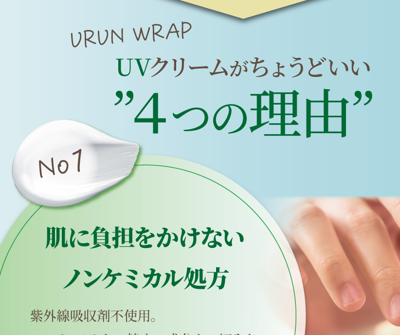 4つの理由セクション